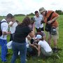 Excavando nidos con Viky Sánchez (Argentina).
